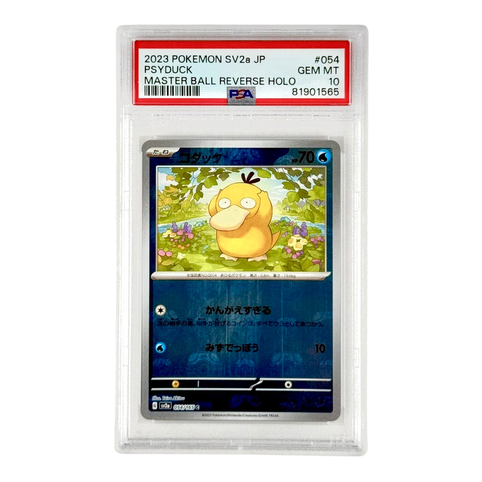 Psyduck 2023 Pokemon Japanese 151 Sv2a Master Ball Holo #054 PSA 10 Yamacardo Psyduck 2023 Pokemon Japanese 151 Sv2a Master Ball Holo #054 PSA 10 Yamacardo