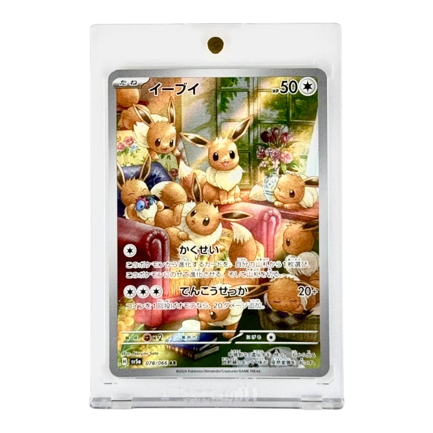 Eevee Pokemon Japanese Sv5a #078 AR