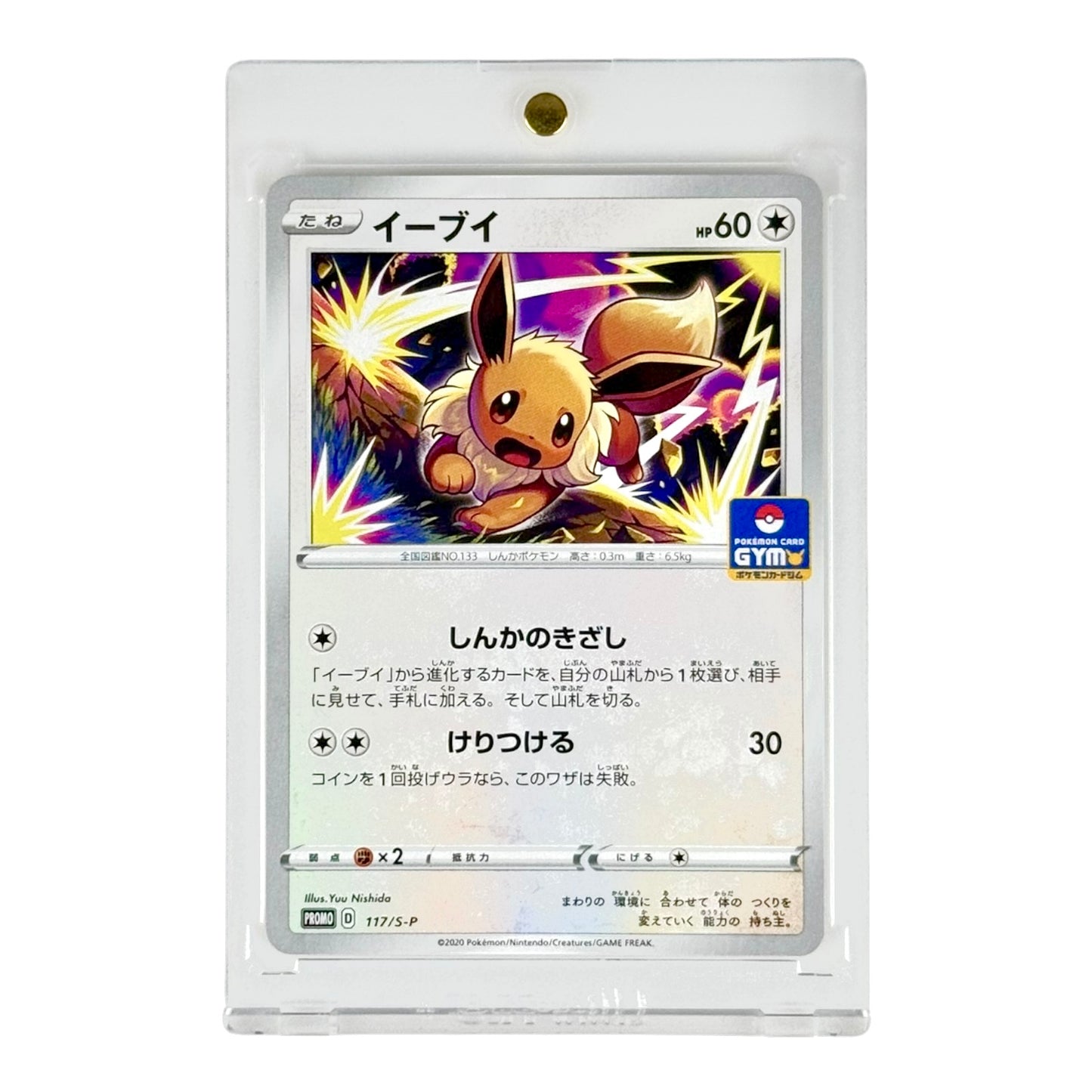 Eevee Pokemon Japanese Gym Promo #117