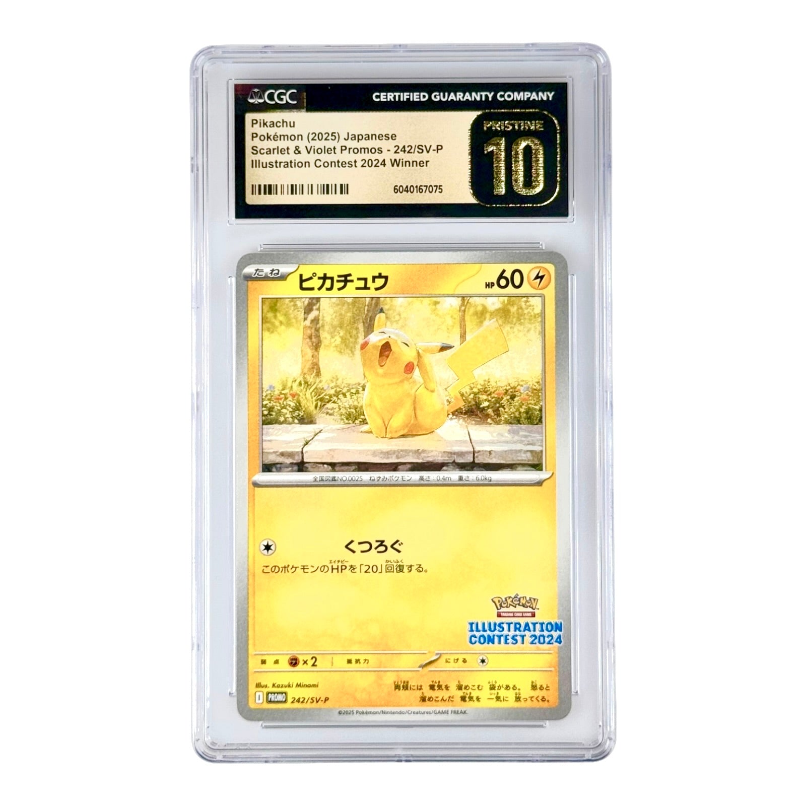 Pikachu 2025 Pokemon Japanese Illustration Contest 2024 Winner Promo # Yamacardo Pikachu 2025 Pokemon Japanese Illustration Contest 2024 Winner Promo # Yamacardo