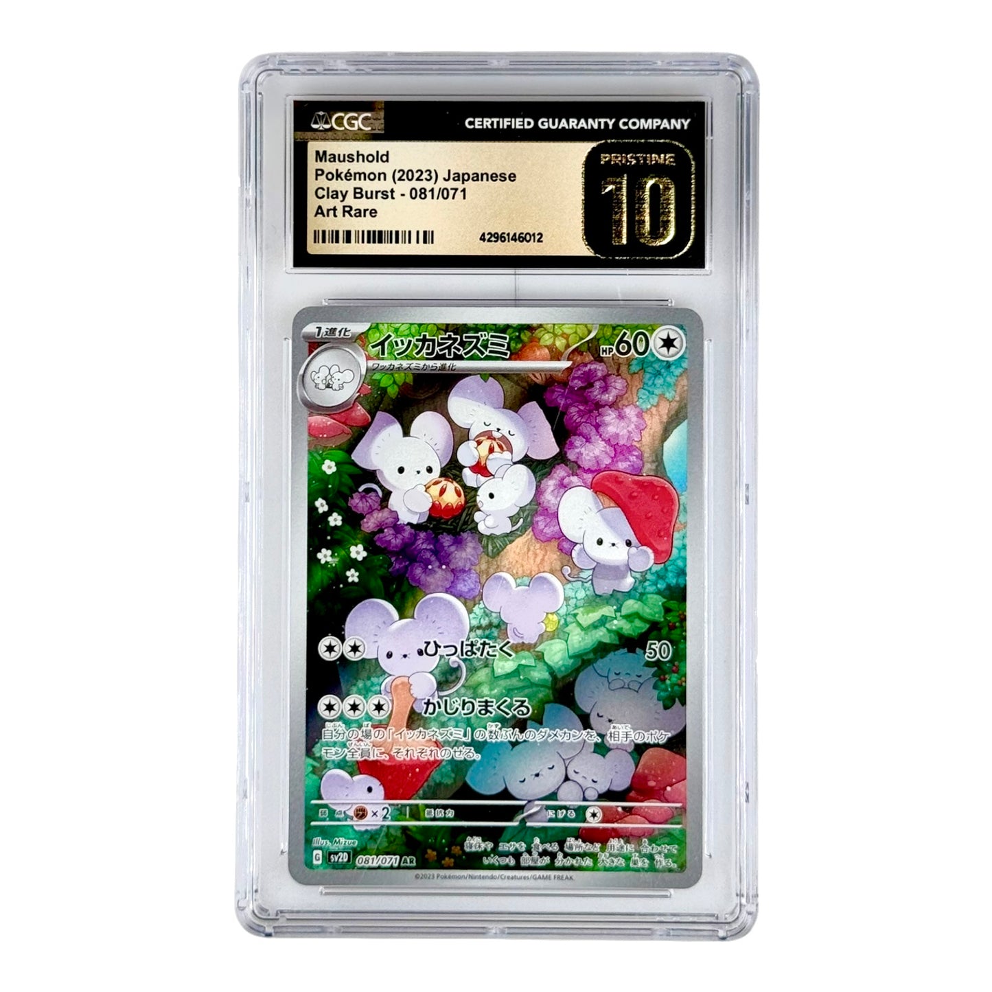 Maushold 2023 Pokemon Japanese Sv2d #081 AR CGC Pristine 10