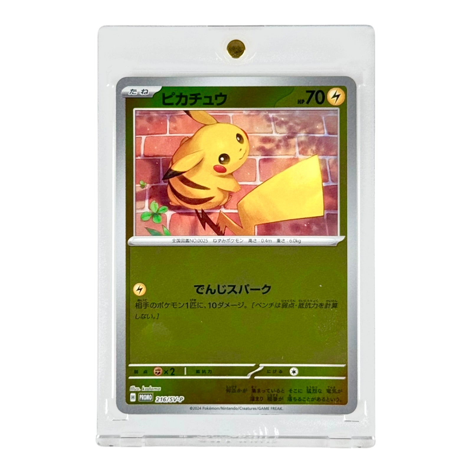 Pikachu 2024 Pokemon Japanese Promo #216 Yamacardo Pikachu 2024 Pokemon Japanese Promo #216 Yamacardo