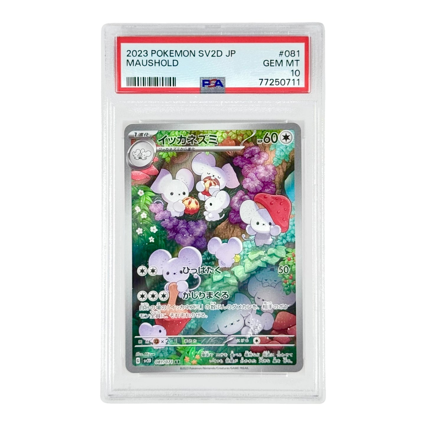 Maushold 2023 Pokemon Japanese Sv2d #081 AR PSA 10