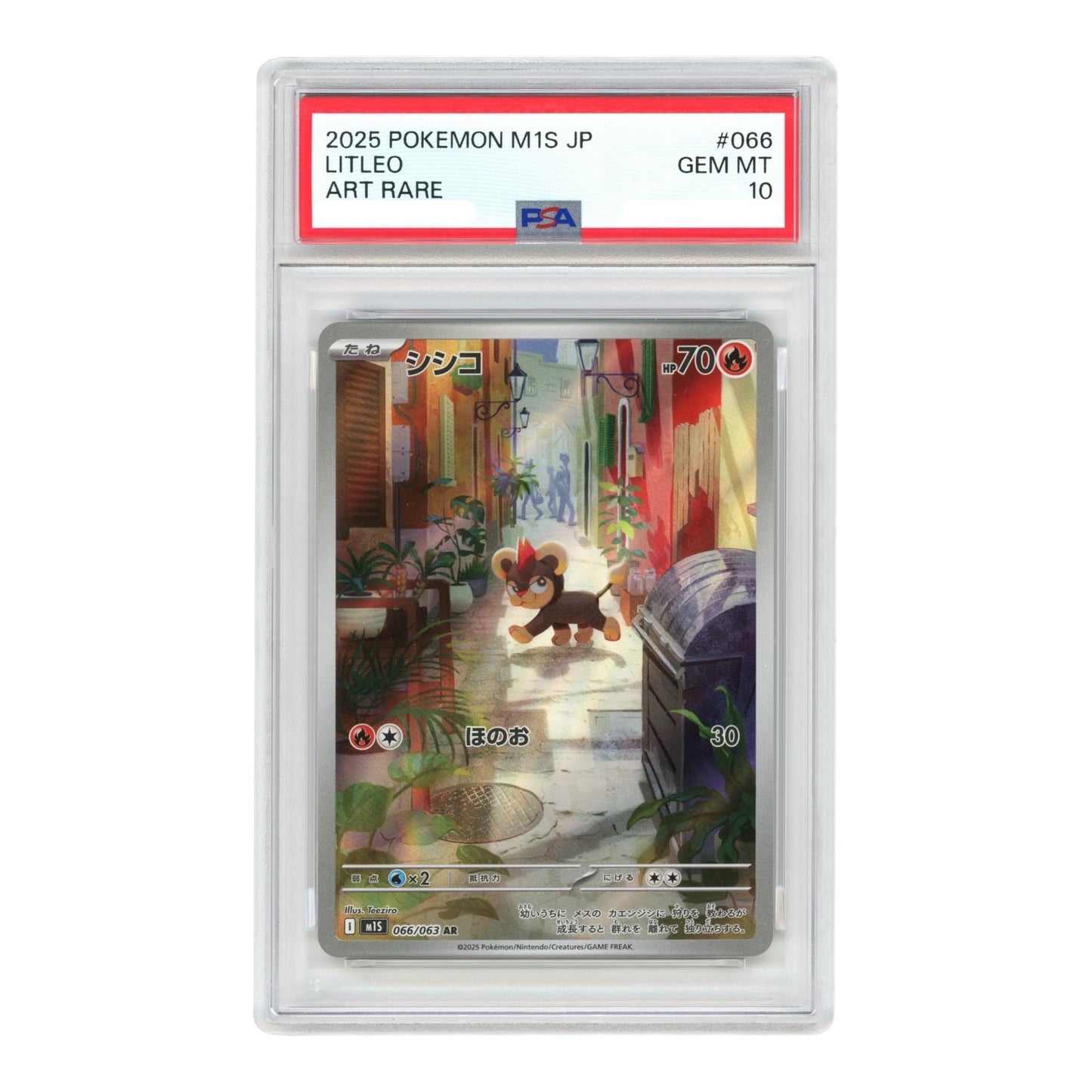 Litleo 2025 Pokemon Japanese M1s #066 AR PSA 10