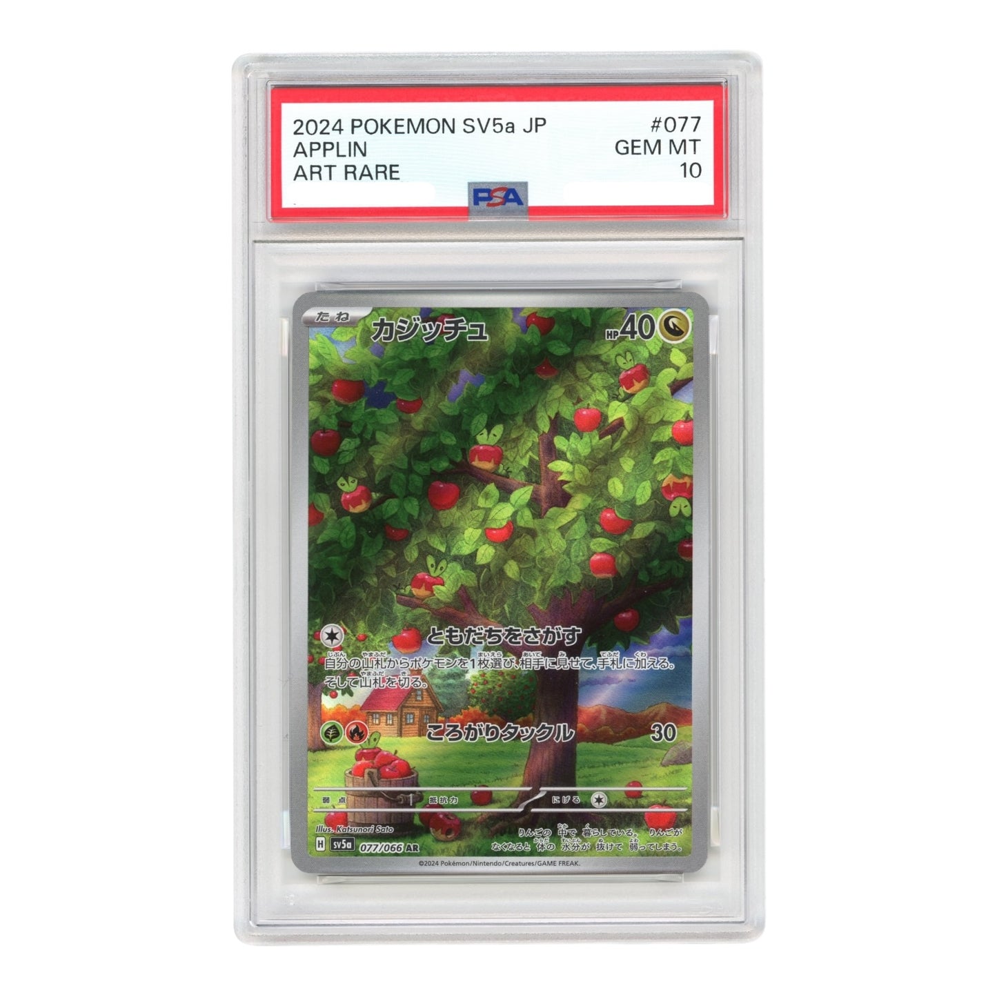 Applin 2024 Pokemon Japanese Sv5a #077 AR PSA 10