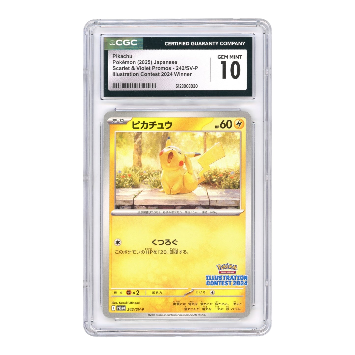 Pikachu 2025 Pokemon Japanese 2024 Illustration Contest Promo #242 CGC 10