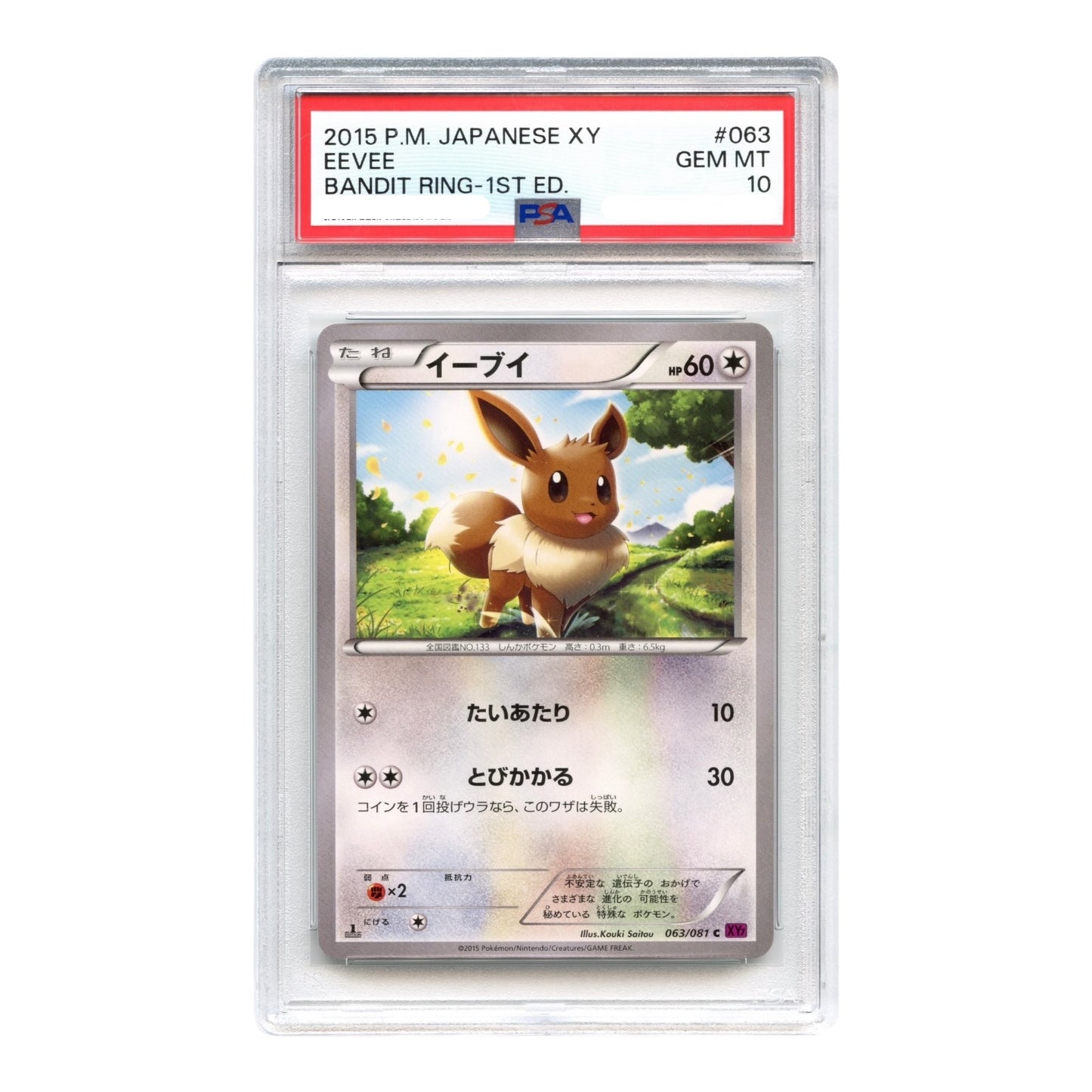 Eevee 2015 Pokemon Japanese XY Bandit Ring 1st Edition #063 PSA 10