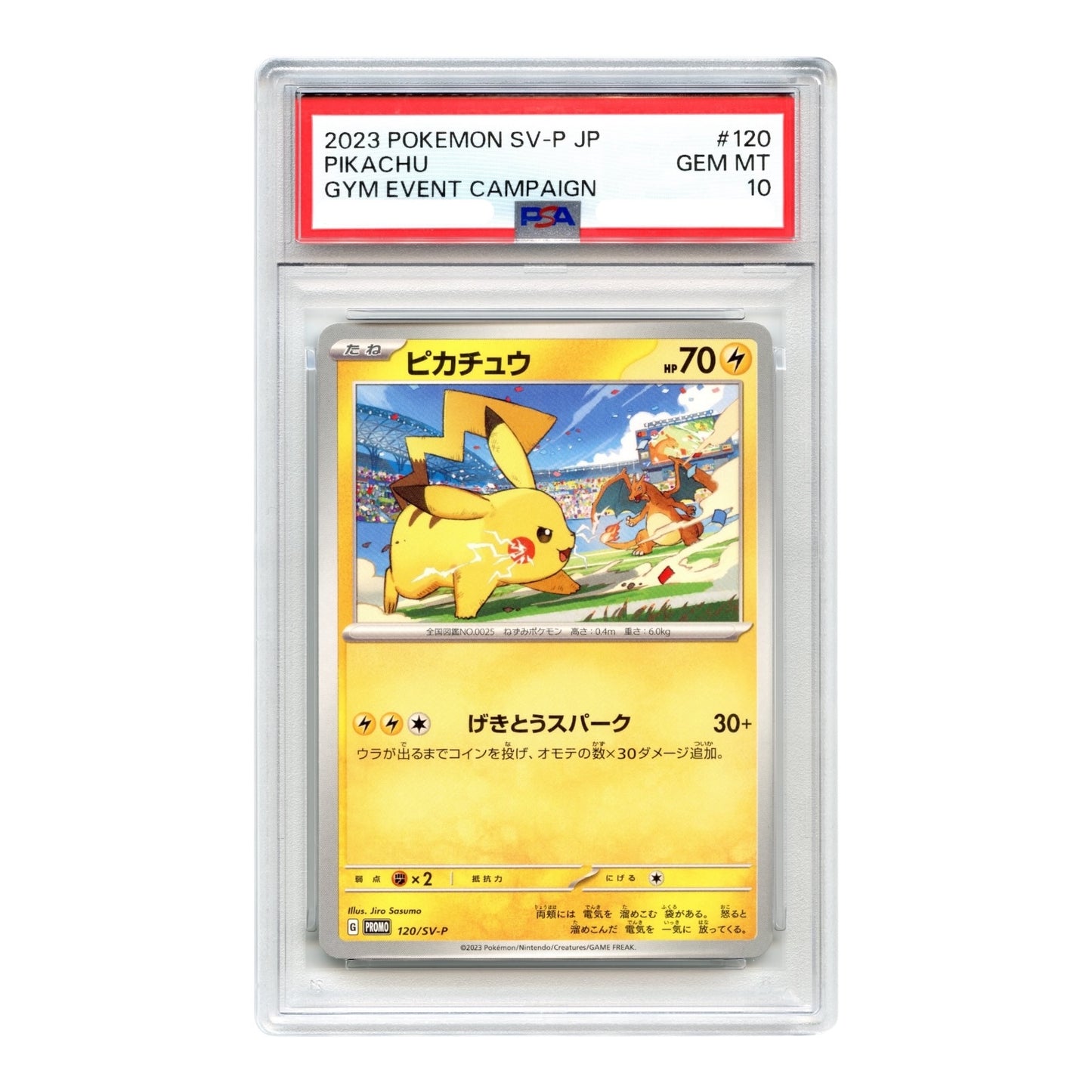 Pikachu 2023 Pokemon Japanese Scarlet & Violet Gym Event Campaign Promo #120 PSA 10