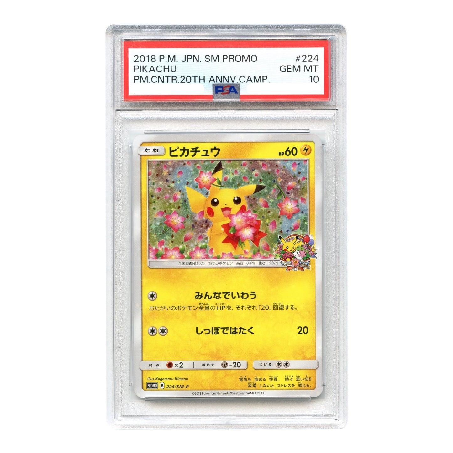 Pikachu 2018 Pokemon Japanese Sun & Moon Pokemon Centre 20th Anniversary Campaign Promo #224 PSA 10