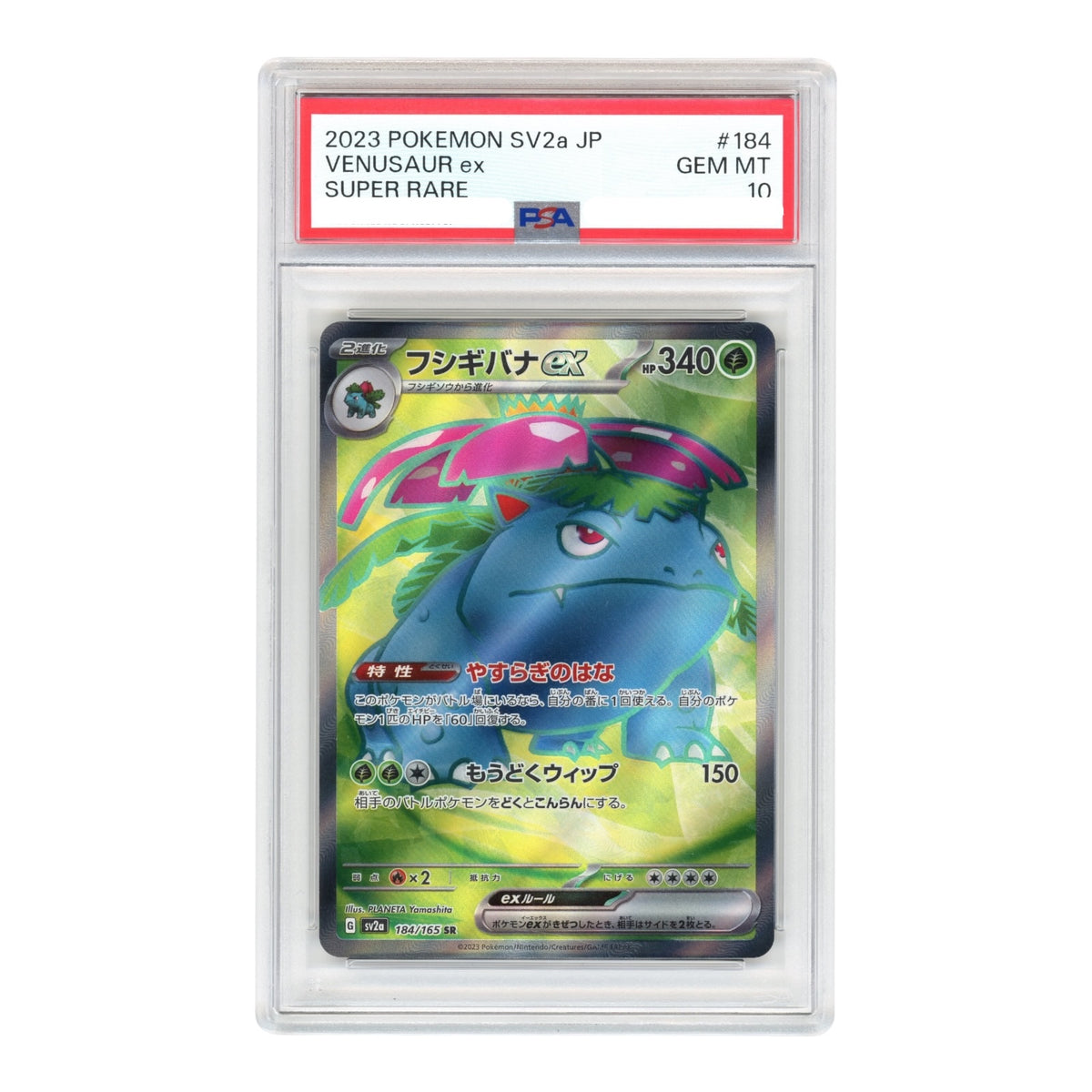 Venusaur ex 2023 Pokemon Japanese Sv2a #184 PSA 10