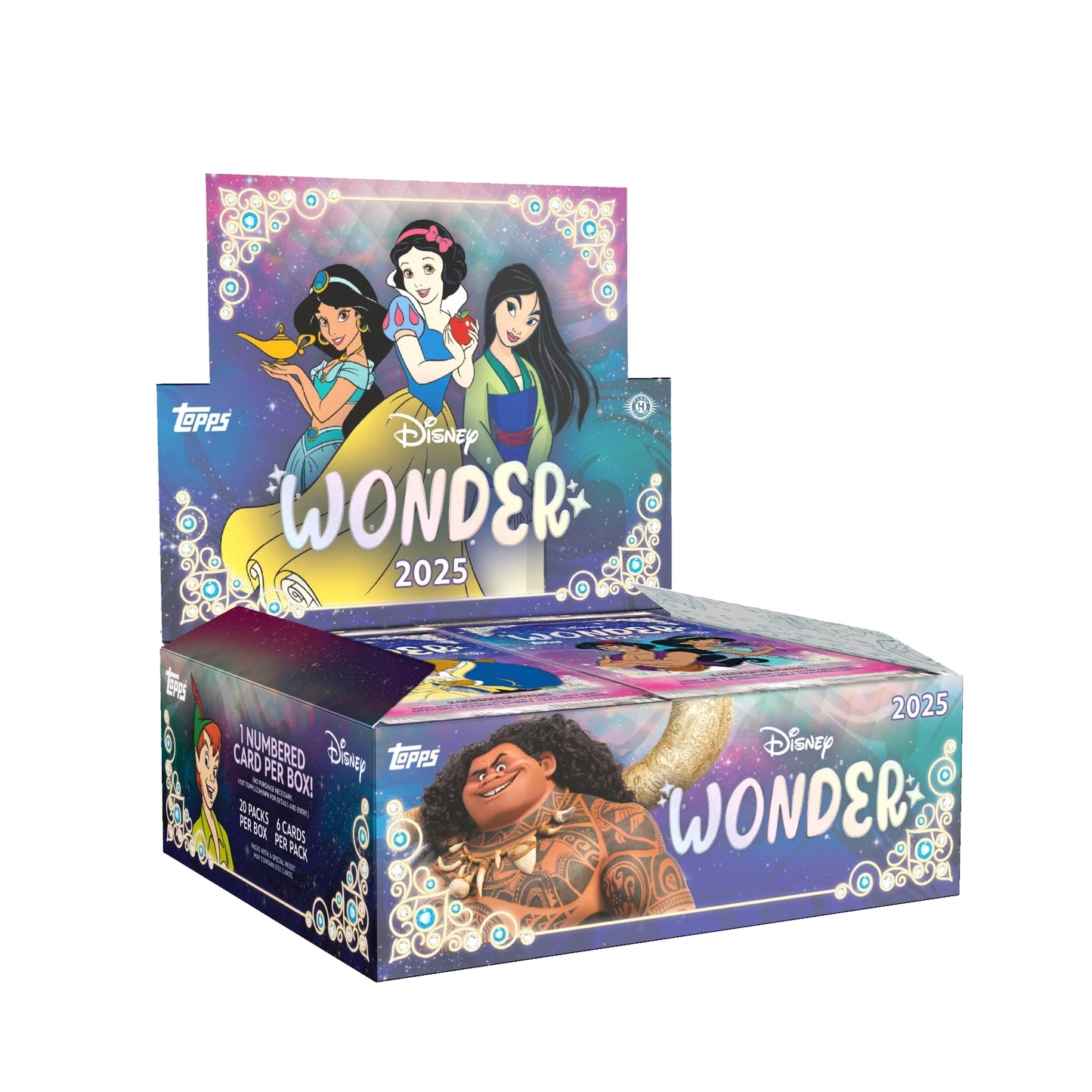 2025 Disney Wonder - Hobby Box