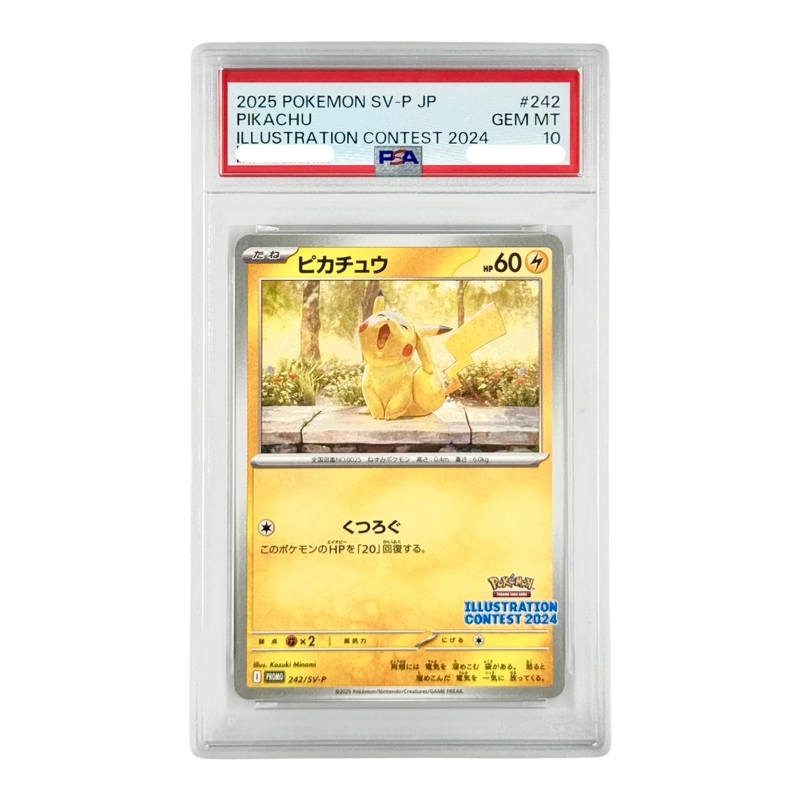 Pikachu 2025 Pokemon Japanese Illustration Contest 2024 Promo #242