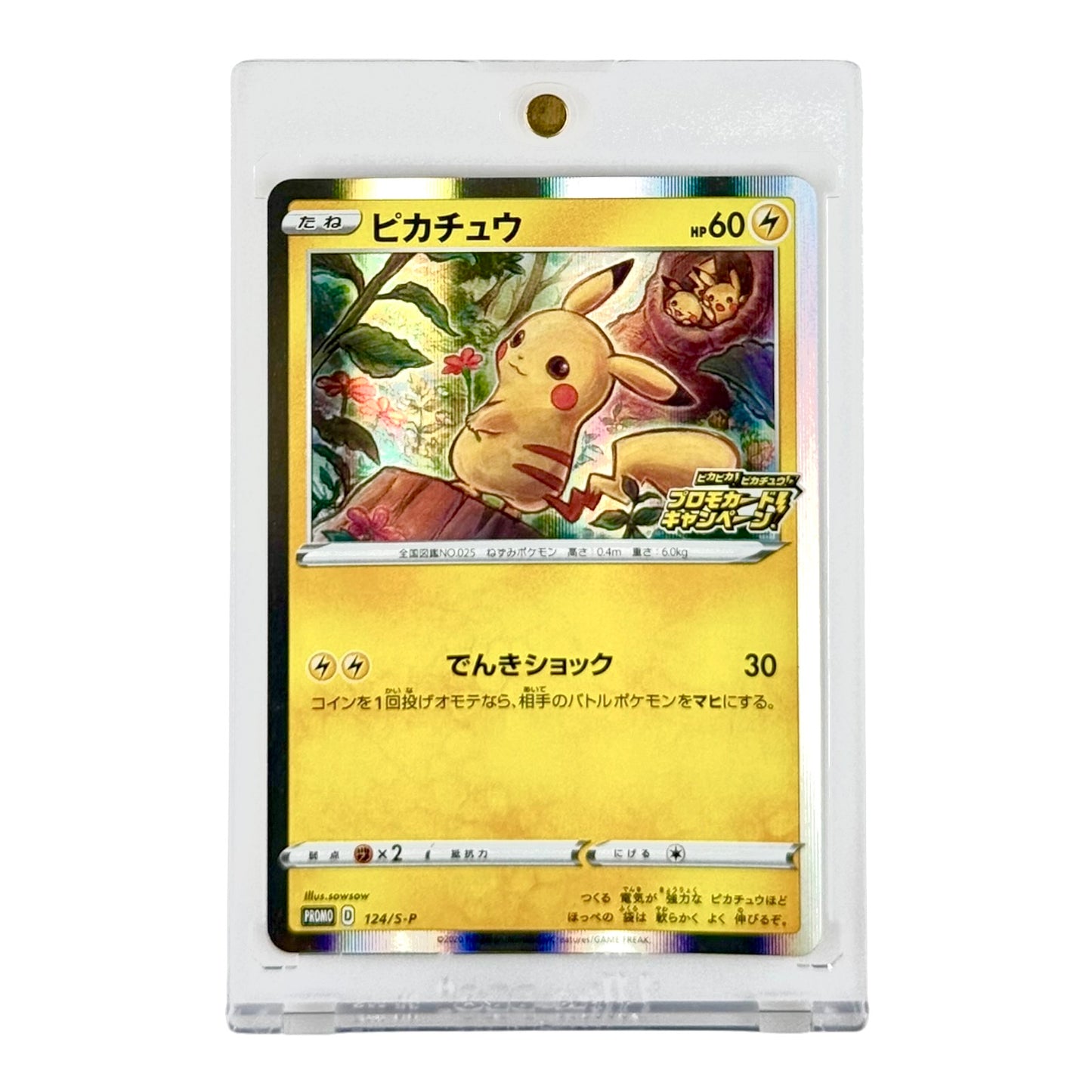 Pikachu 2020 Pokemon Japanese Pikachu Campaign Promo #124