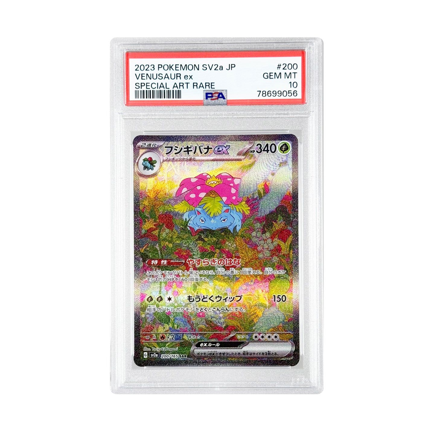 Venusaur ex 2023 Pokemon Japanese Sv2a SAR #200 PSA 10