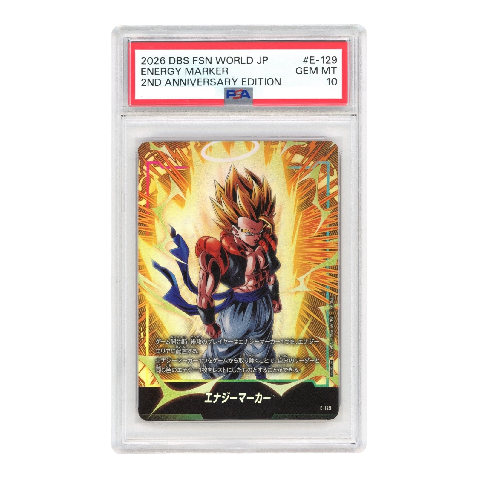 Graded TCG – Yamacardo
