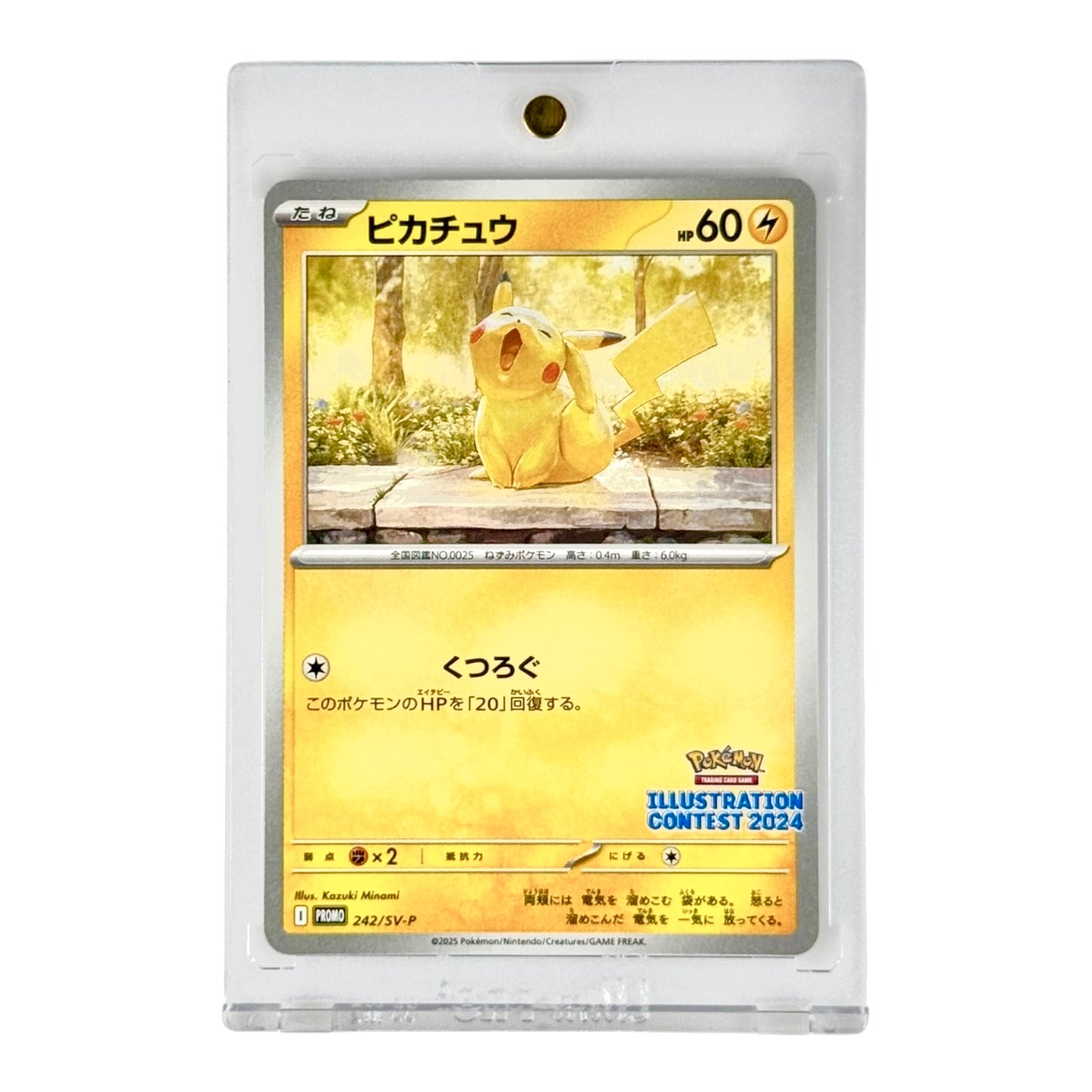 Pikachu 2025 Pokemon Japanese Illustration Contest 2024 Promo #242