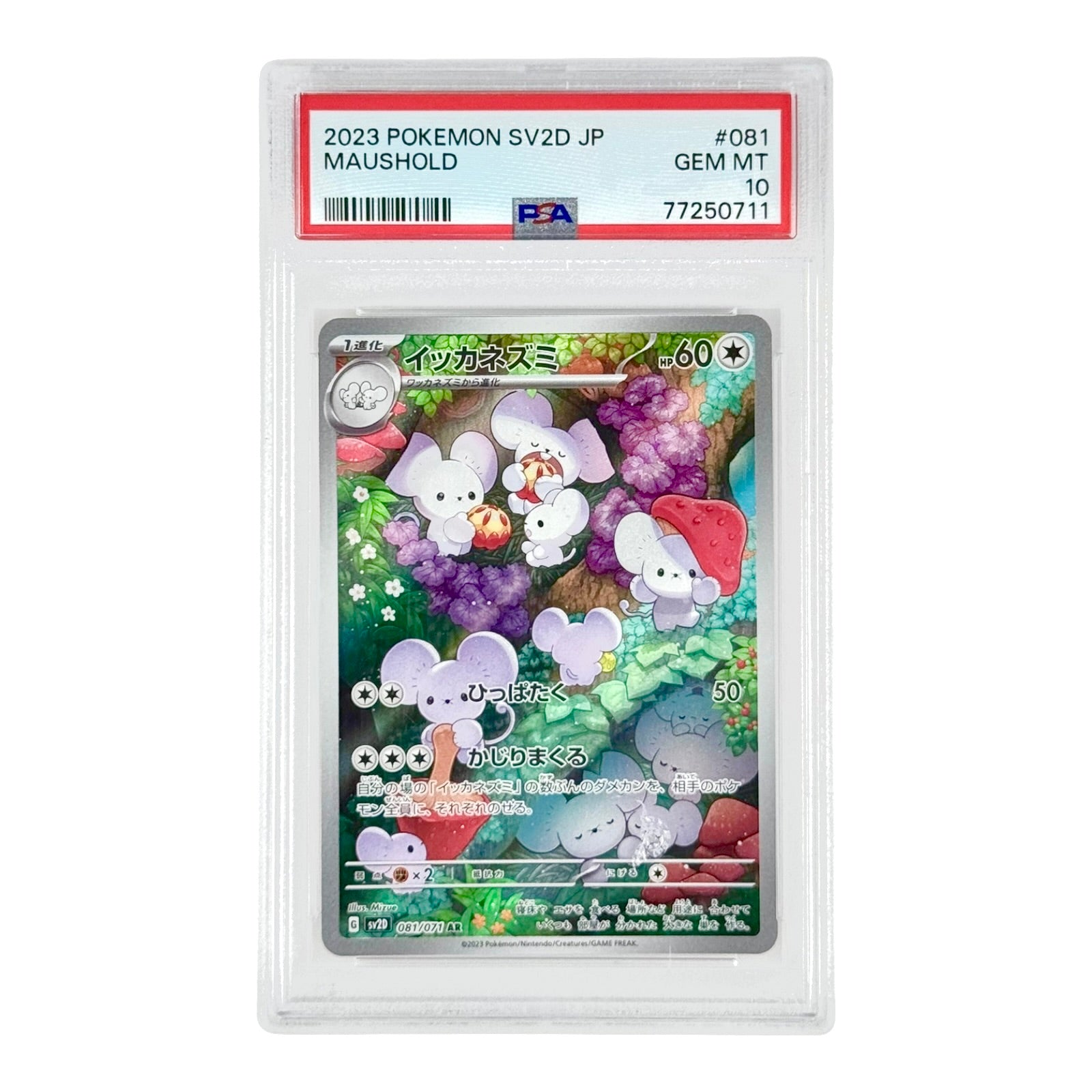 Maushold 2023 Pokemon Japanese Sv2d #081 AR PSA 10 – Yamacardo