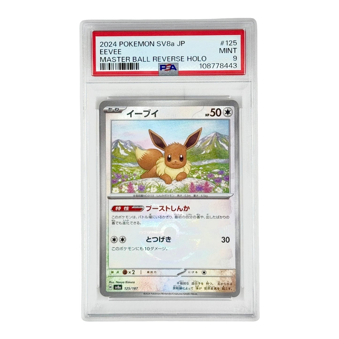 Eevee 2024 Pokemon Japanese Sv8a Master Ball #125 PSA 9