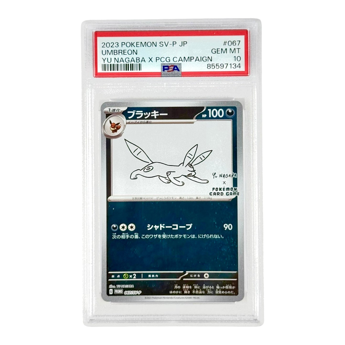 Set of 9 Yu Nagaba x PCG Campaign 2023 Pokemon Japanese Promo Consecutive Number PSA 10