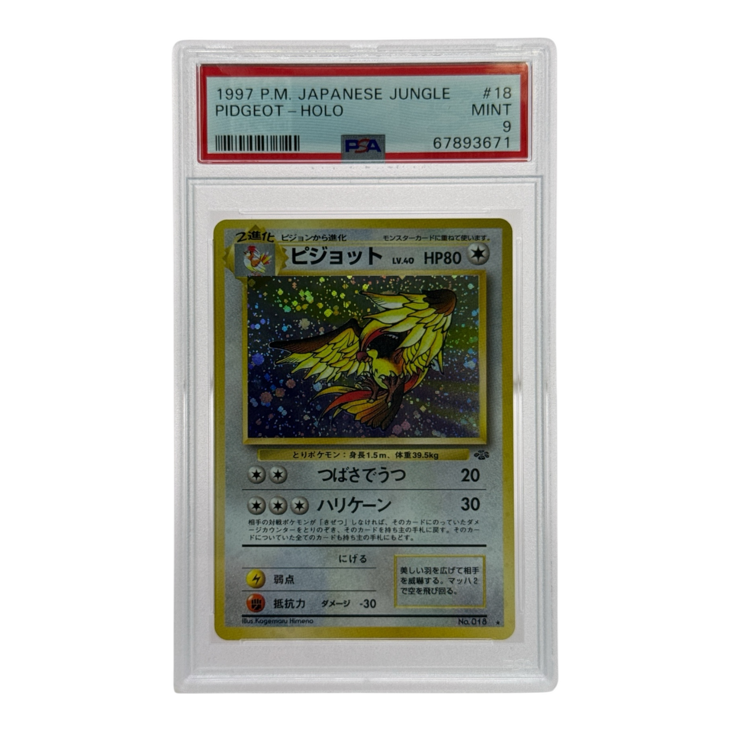 Pidgeot 1997 Pokemon Japanese Jungle Holo #18 PSA 9