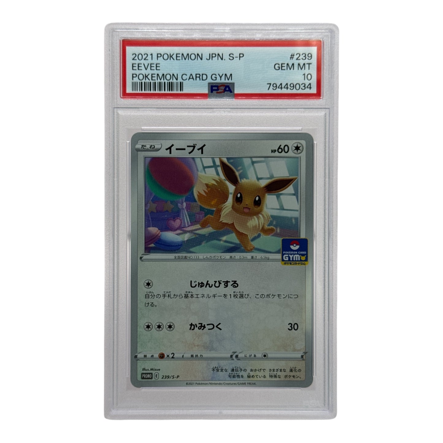 Eevee 2021 Pokemon Japanese Pokemon Card Gym Promo #239 PSA 10