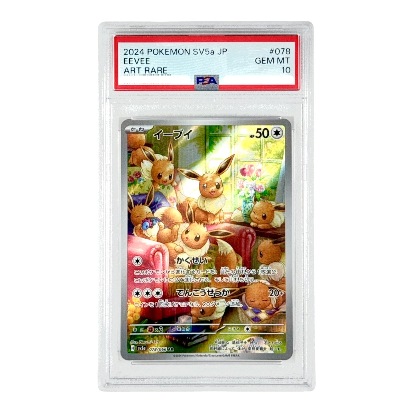 Eevee 2024 Pokemon Japanese Sv5a #078 AR PSA 10