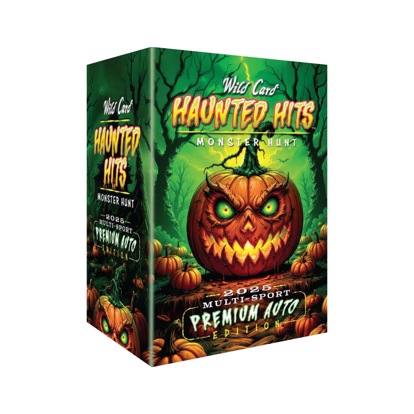 Wild Cards - HAUNTED HITS