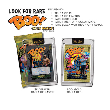 Wild Cards - HAUNTED HITS