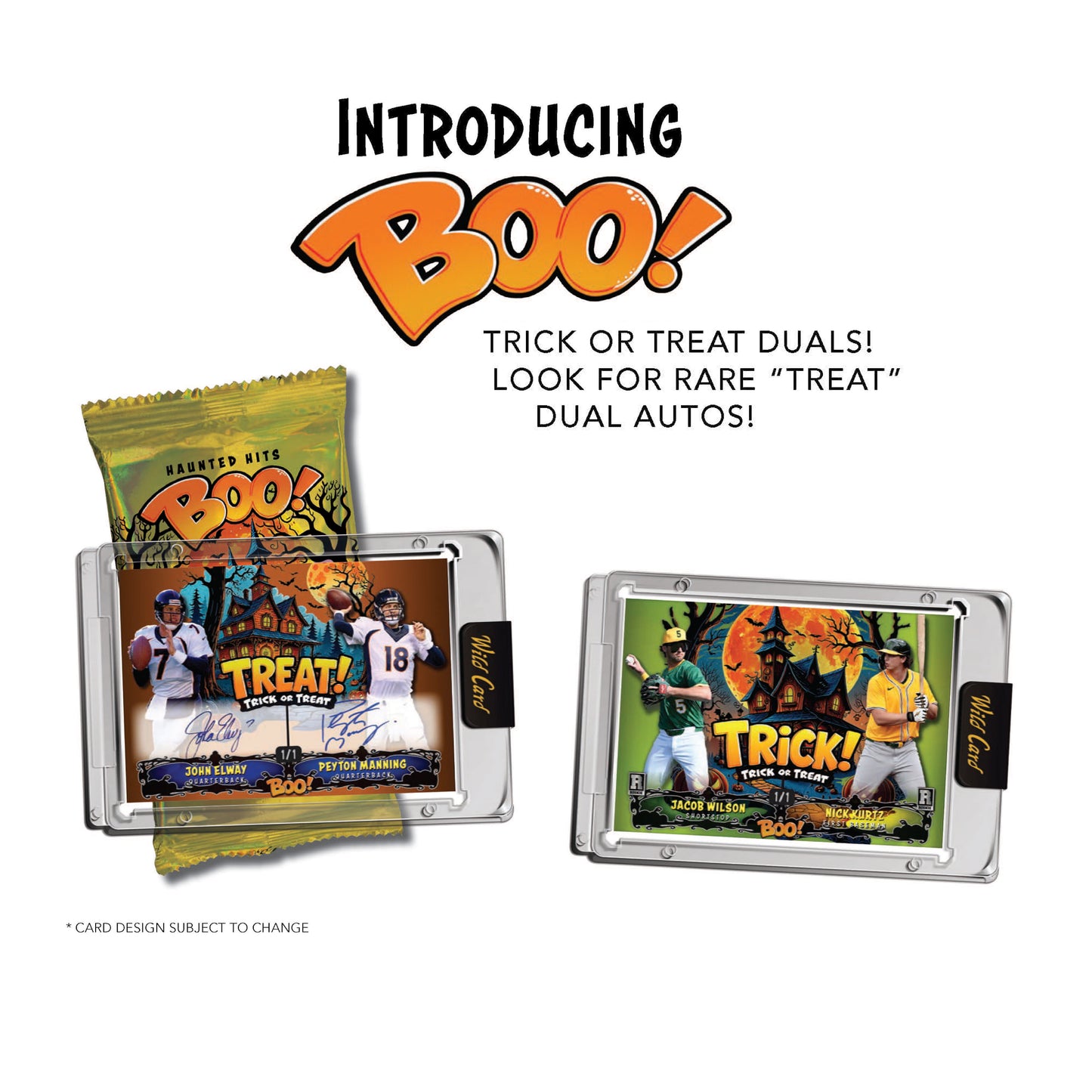 Wild Cards - HAUNTED HITS