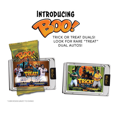 Wild Cards - HAUNTED HITS