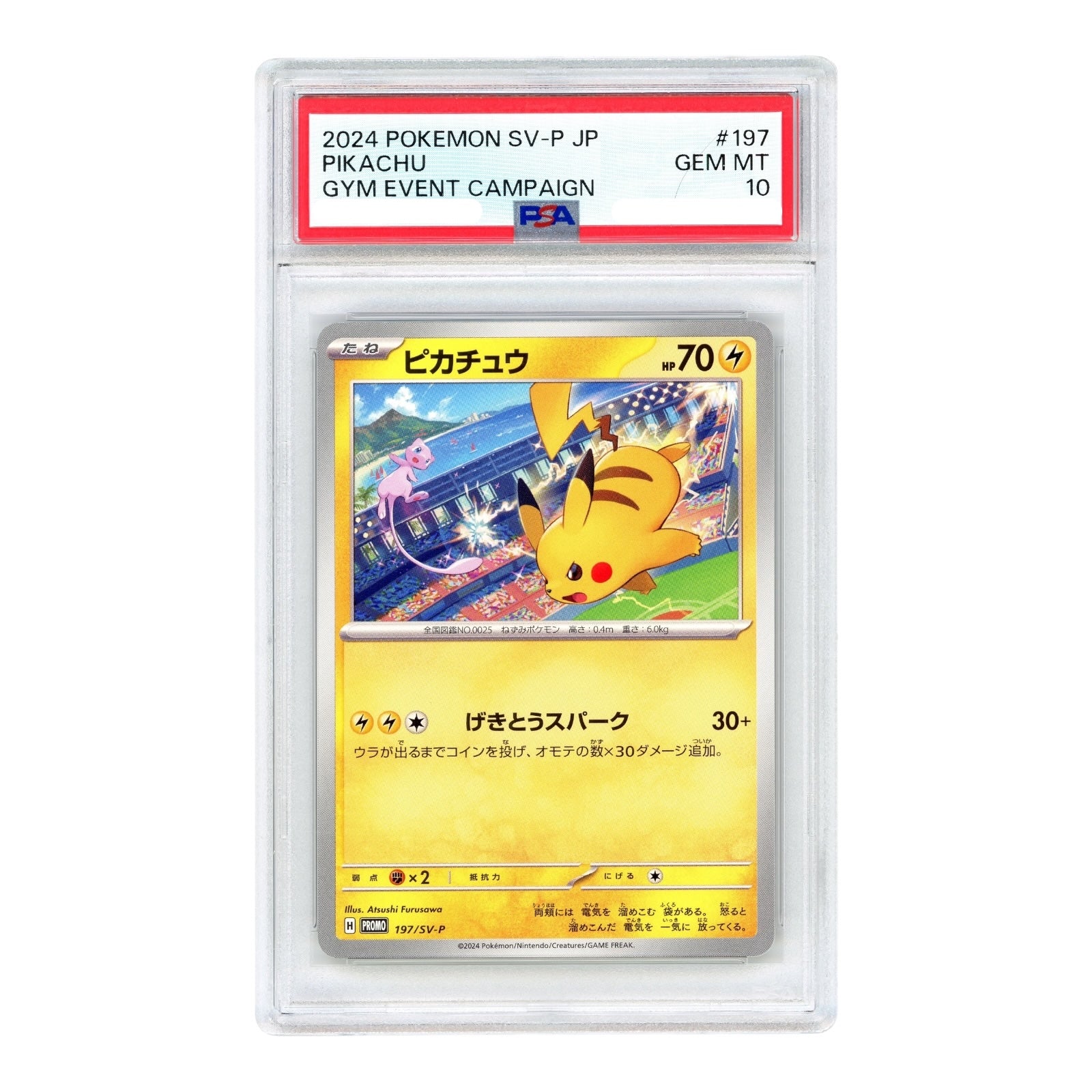 Set Of 2 Pikachu 2023 Pokemon Japanese Gym Event Campaign Promo