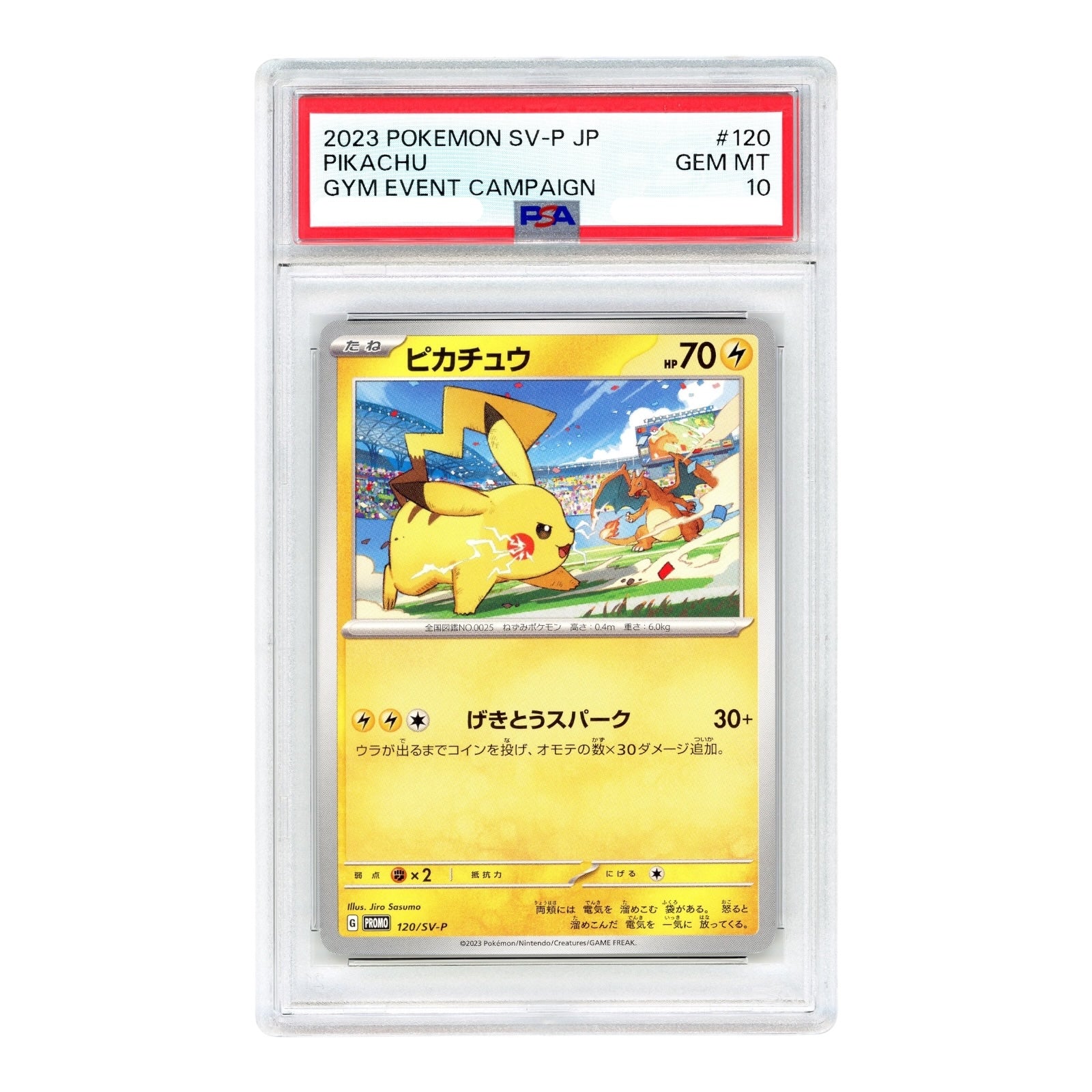 Set Of 2 Pikachu 2023 Pokemon Japanese Gym Event Campaign Promo
