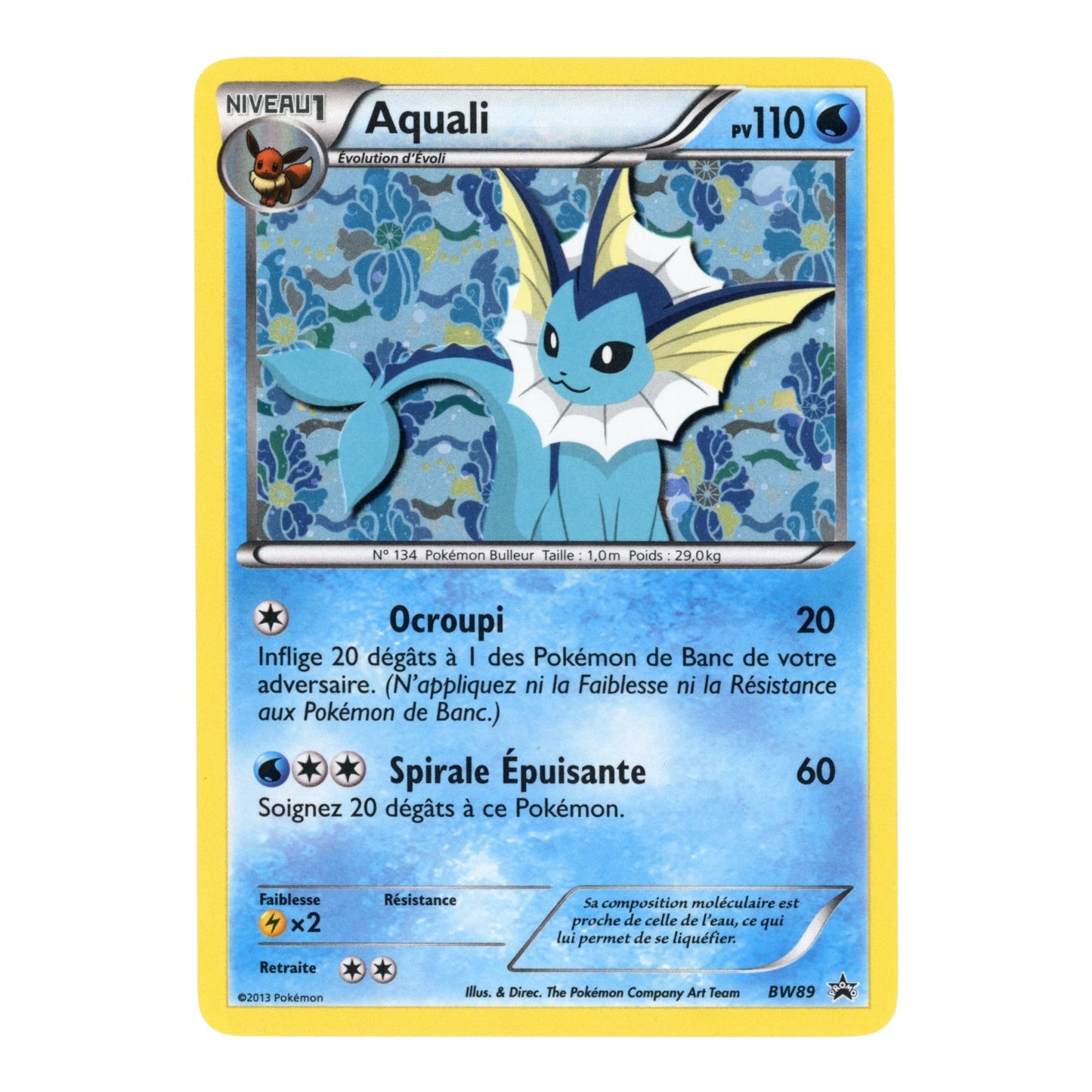 Set of 9 Eevee 2013 Pokemon English Promo