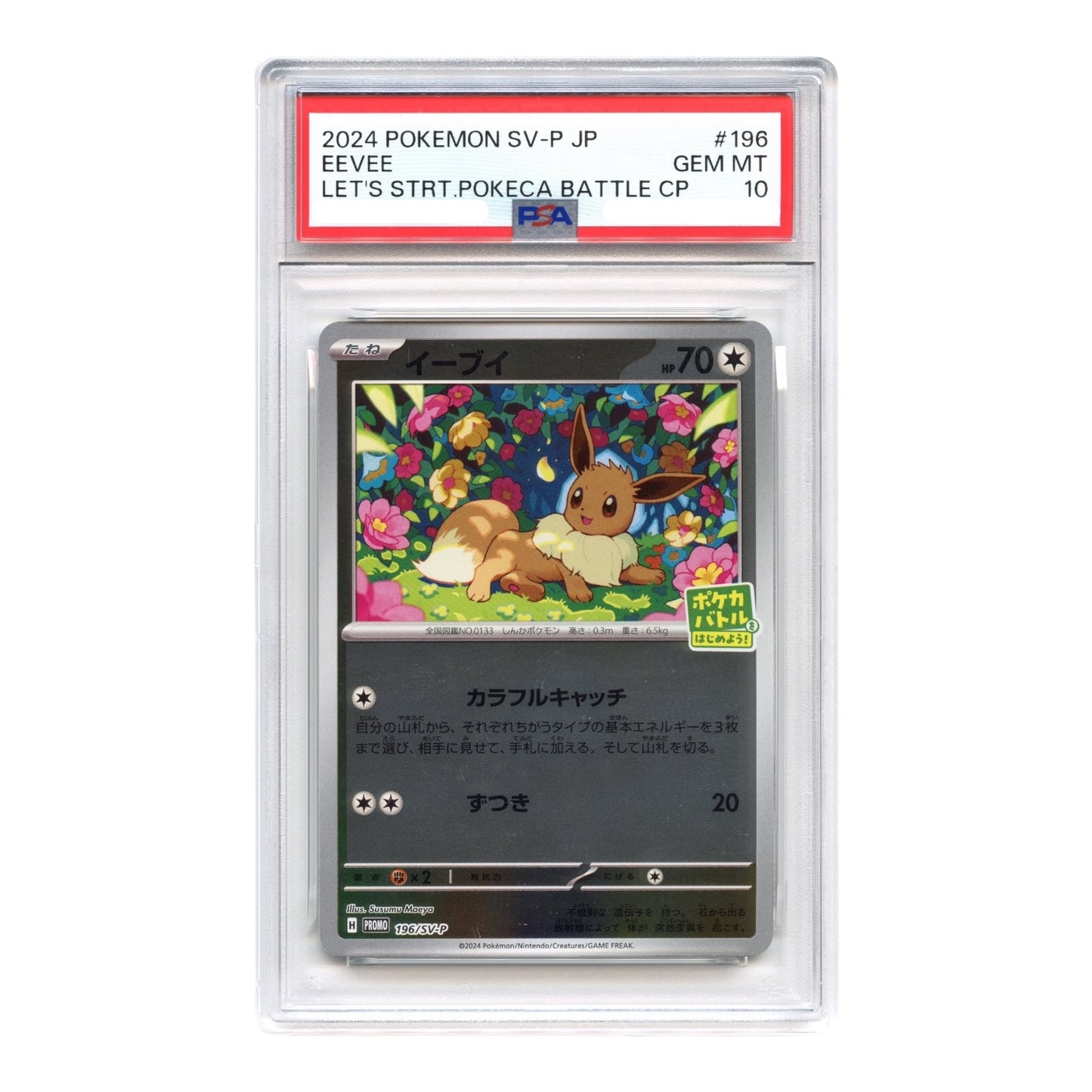 Eevee 2024 Pokemon Japanese Let's Start Pokeca Battle Promo #196 PSA 10