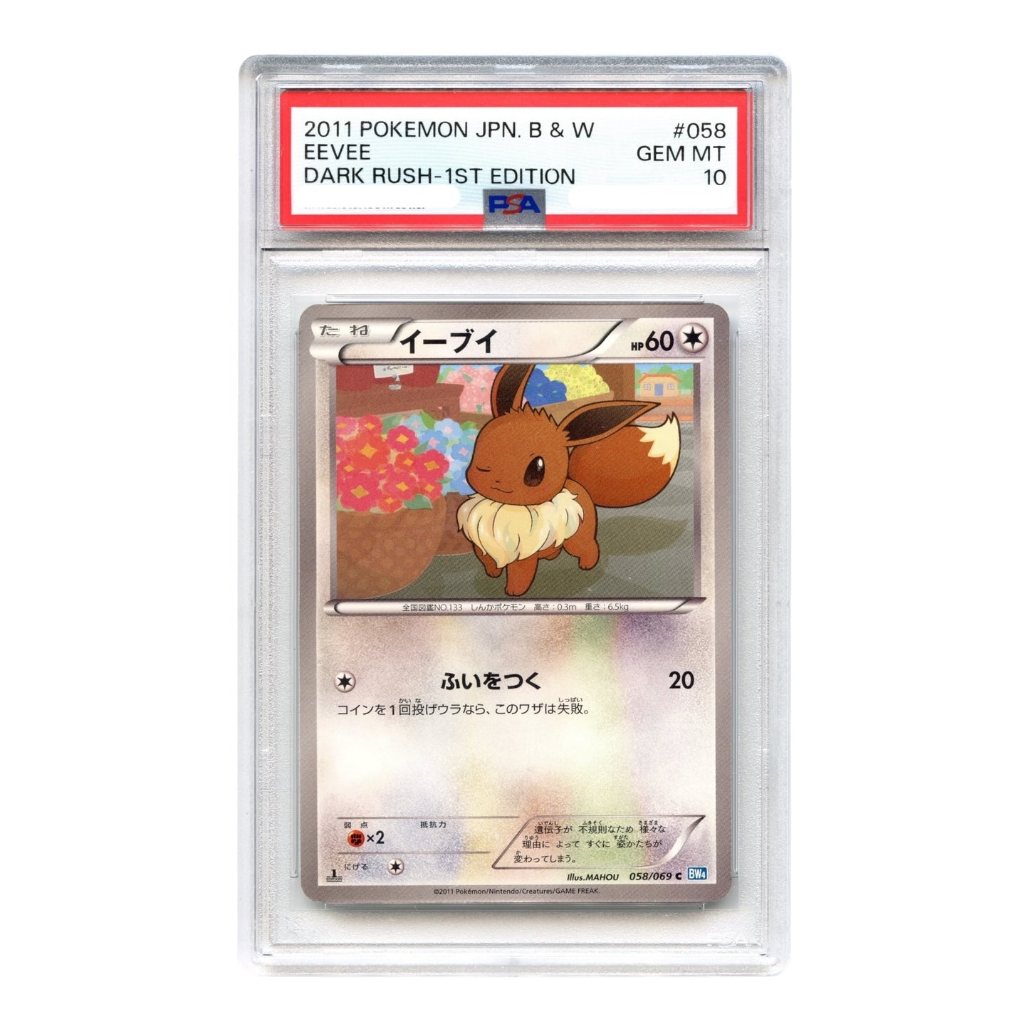 Eevee 2011 Pokemon Japanese Black & White Dark Rush 1st Edition #058 PSA 10