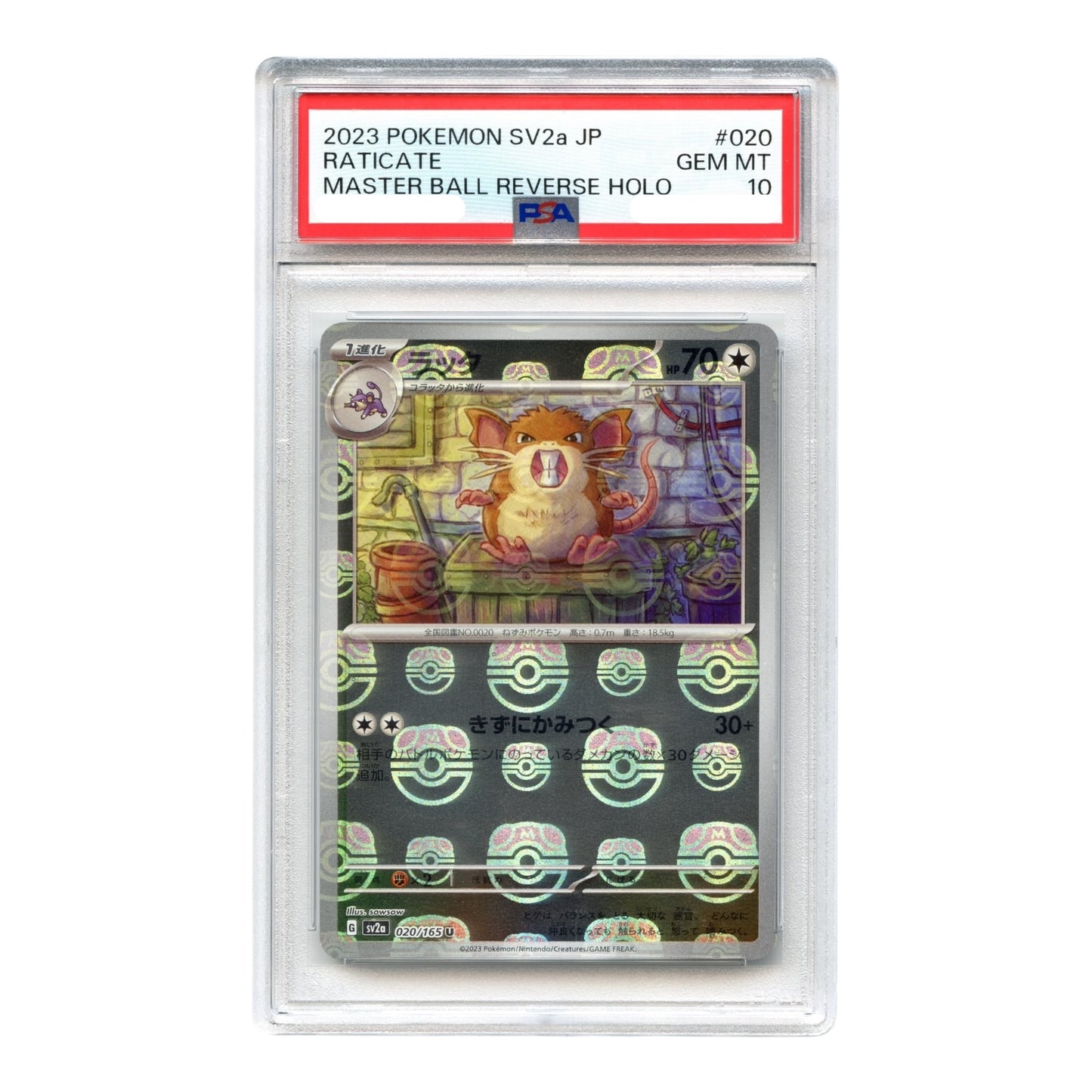 Raticate 2023 Pokemon Japanese Sv2a Scarlet & Violet Master Ball Reverse Holo #020 PSA 10