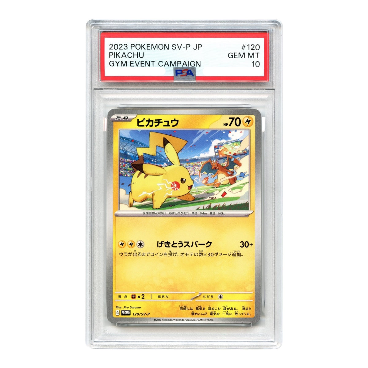 Pikachu 2023 Pokemon Japanese Scarlet & Violet Gym Event Campaign Promo #120 PSA 10