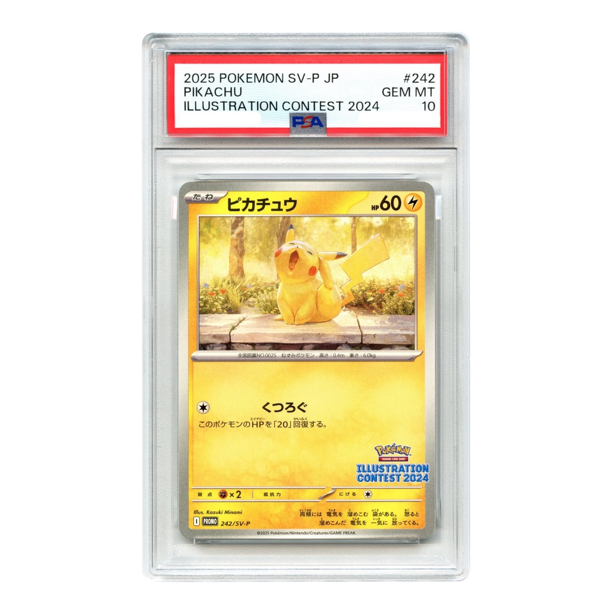 Pikachu 2025 Pokemon Japanese Illustration Contest 2024 Promo #242 PSA 10