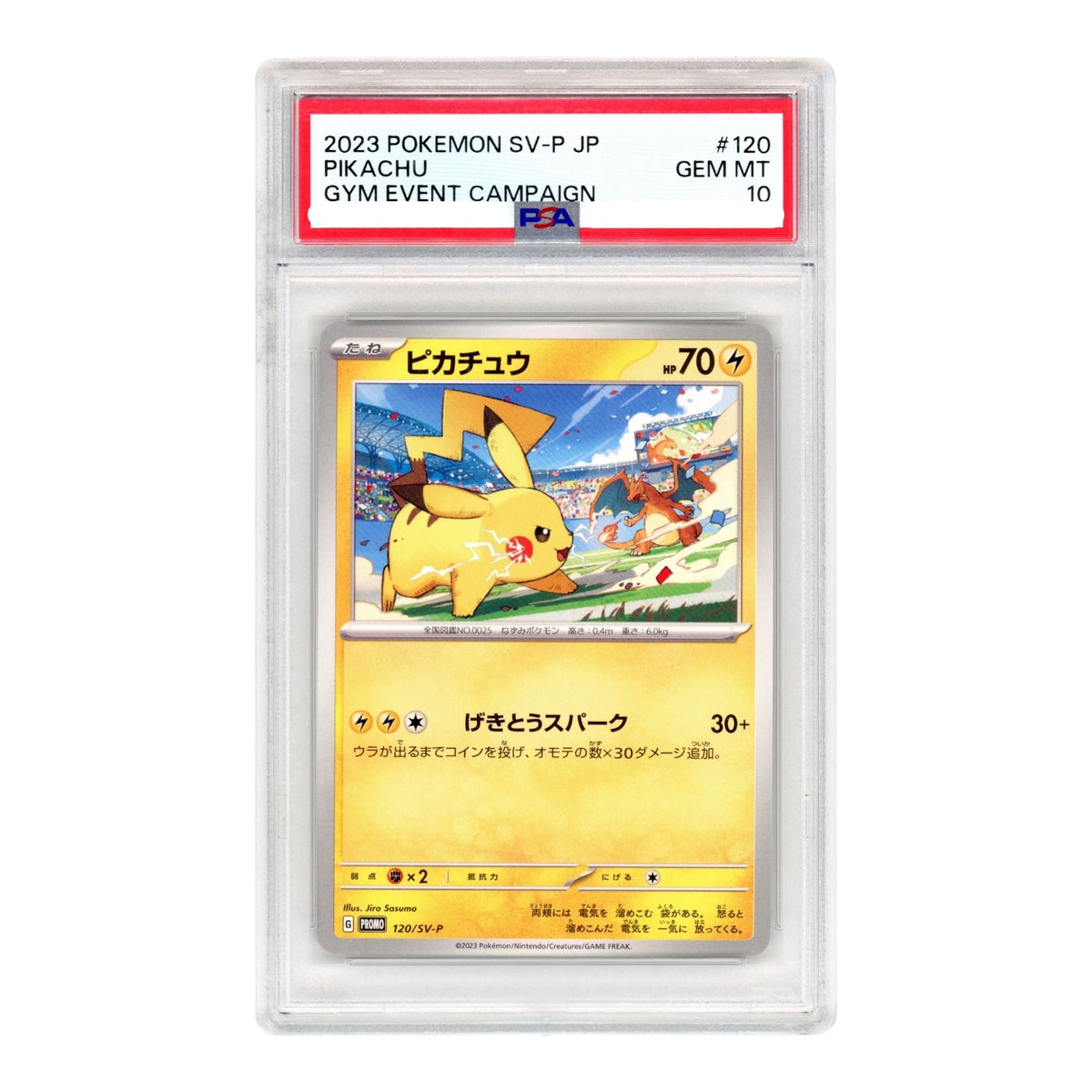 Pikachu 2023 Pokemon Japanese Gym Event Promo #120 PSA 10