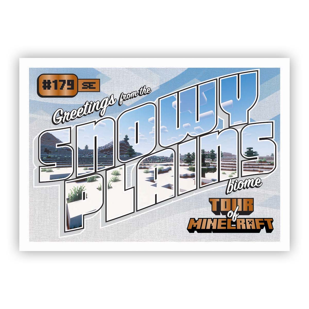 2025 Panini Minecraft Special Edition Hobby Box